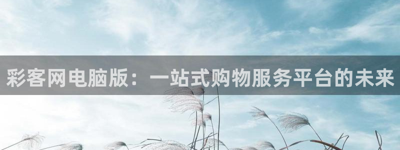彩客网电脑版：一站式购物服务平台的未来