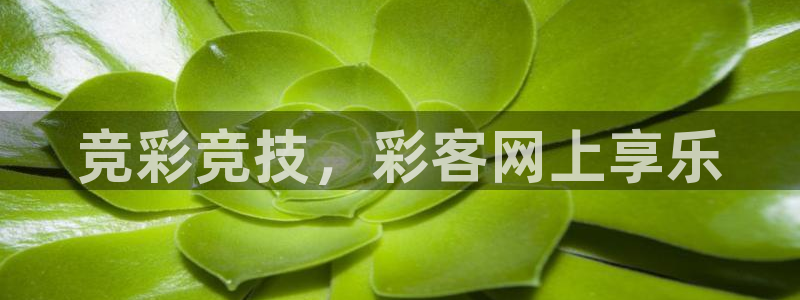 pg电子拳霸：竞彩竞技，彩客网上享乐