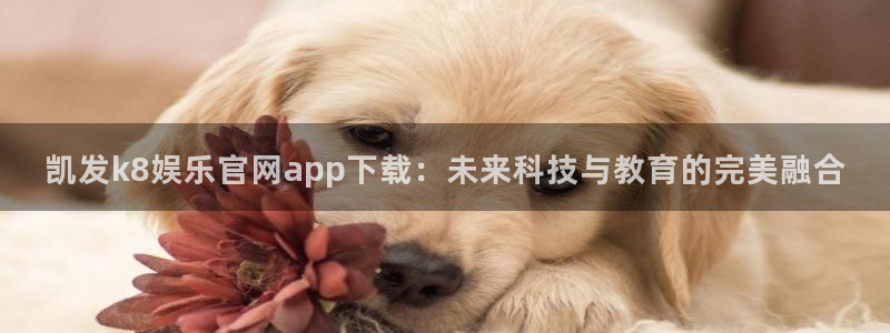 pg电子免费模拟器：凯发k8娱乐官网app下载：未来科技与教育的完美融合